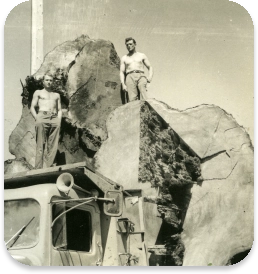 Logging